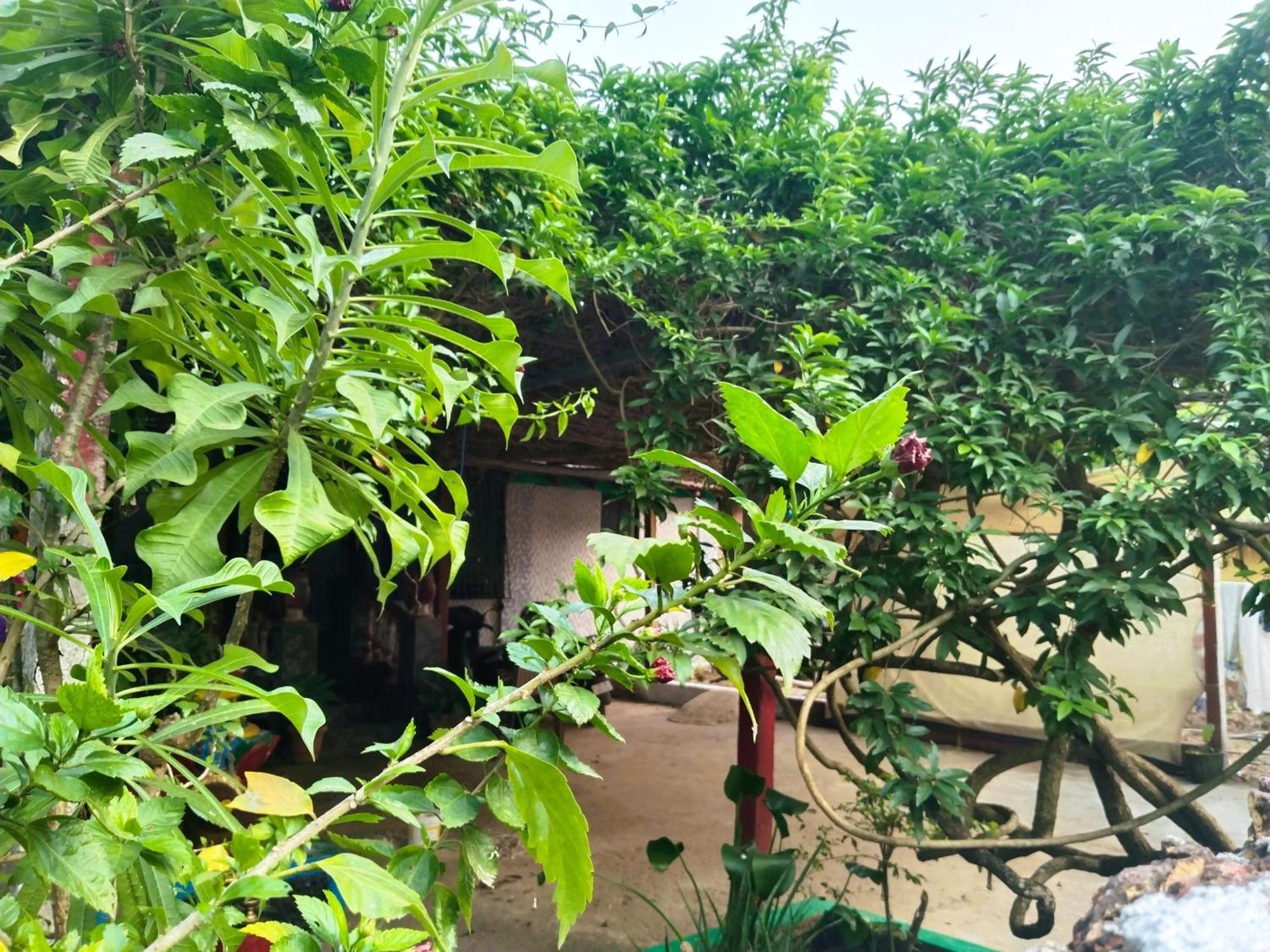 Cockerel Homestay - Traditional Beach Village - Goa Canacona Exteriör bild